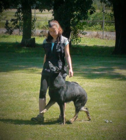 Ilo od Svatováclava